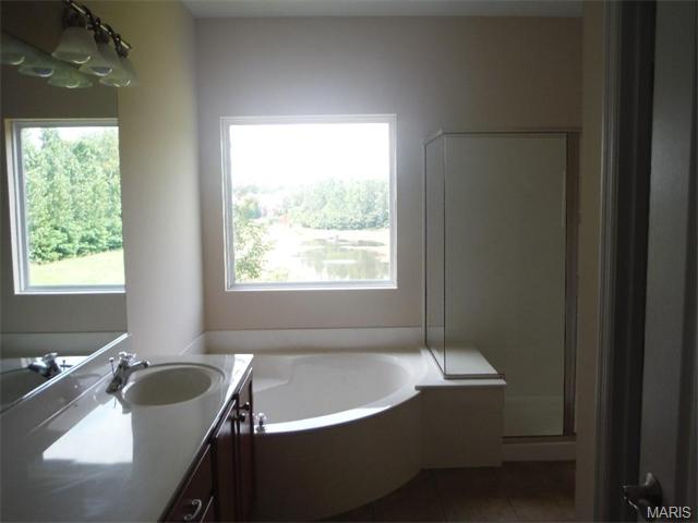 294 Thoreau Blvd, O'fallon, MO 63366 photo 14