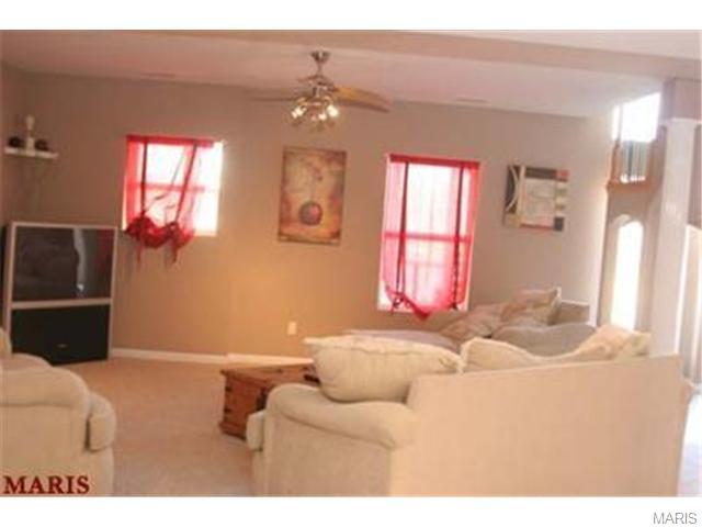 294 Thoreau Blvd, O'fallon, MO 63366 photo 77