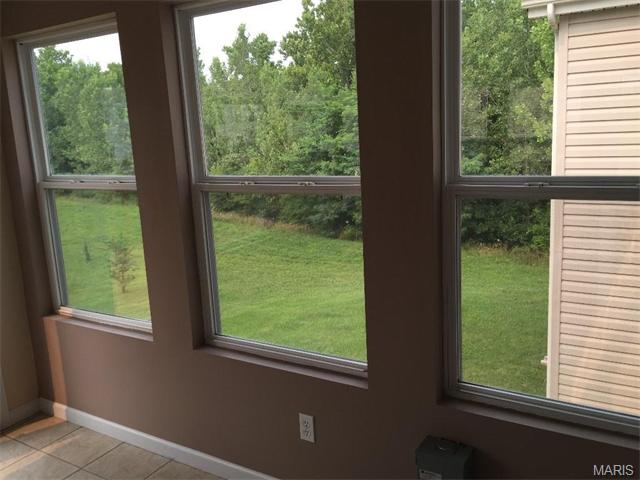 294 Thoreau Blvd, O'fallon, MO 63366 photo 31