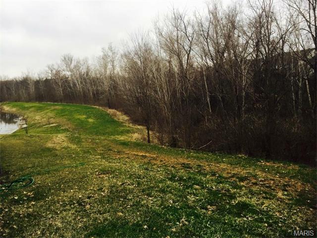 294 Thoreau Blvd, O'fallon, MO 63366 photo 39