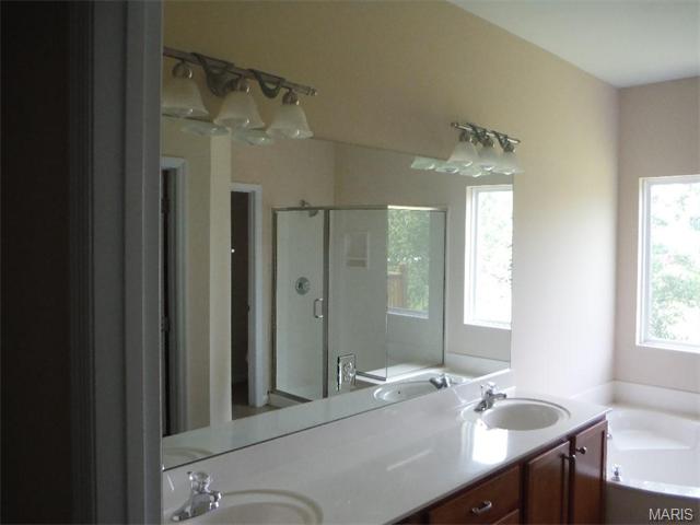 294 Thoreau Blvd, O'fallon, MO 63366 photo 20