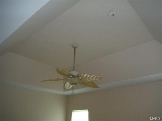 294 Thoreau Blvd, O'fallon, MO 63366 photo 50