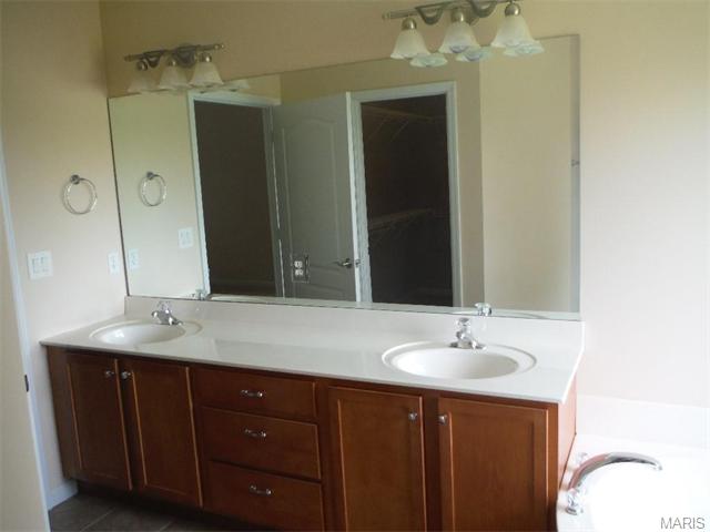 294 Thoreau Blvd, O'fallon, MO 63366 photo 54