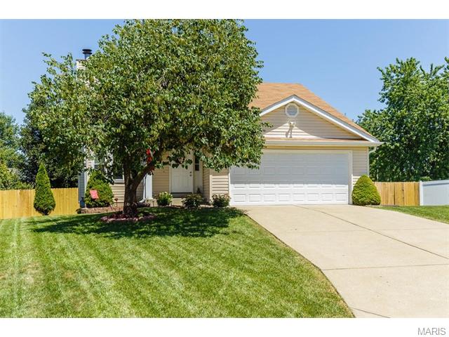 17 Rose Wind Ct, O'fallon, MO 63366 photo 33