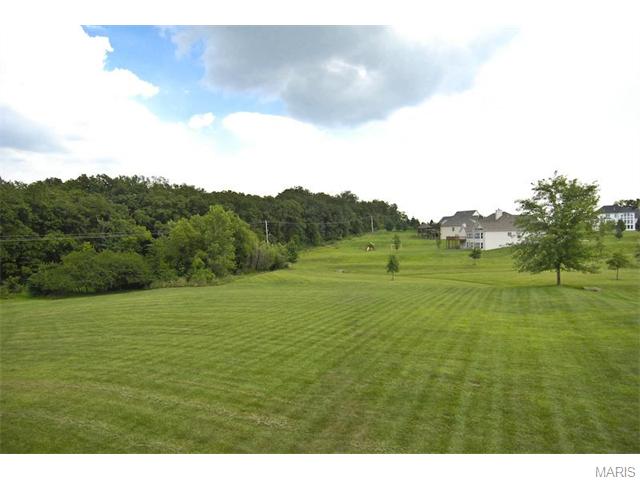 5349 Tower Hl, Weldon Spring, MO 63304 photo 2