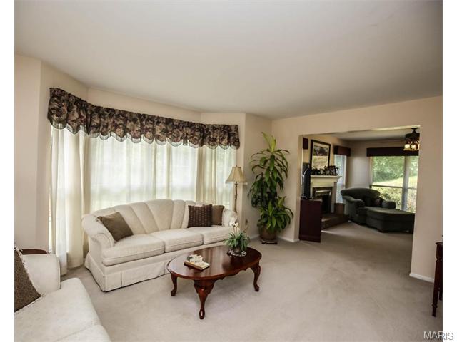 4600 Meramec Blvd, Eureka, MO 63025 photo 22