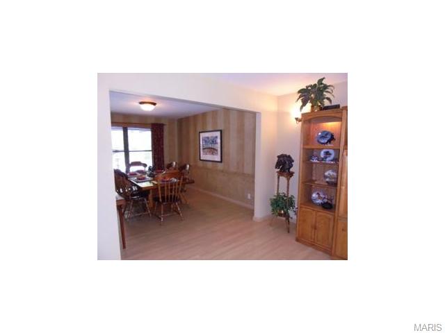 314 Glyn Cagny, Ballwin, MO 63021 photo 12