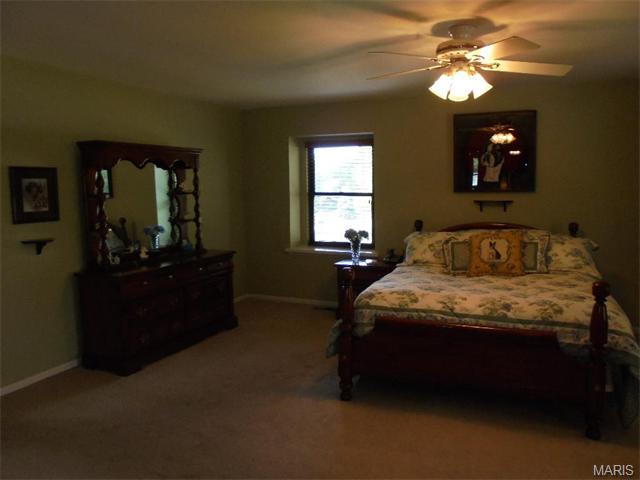 314 Glyn Cagny, Ballwin, MO 63021 photo 13