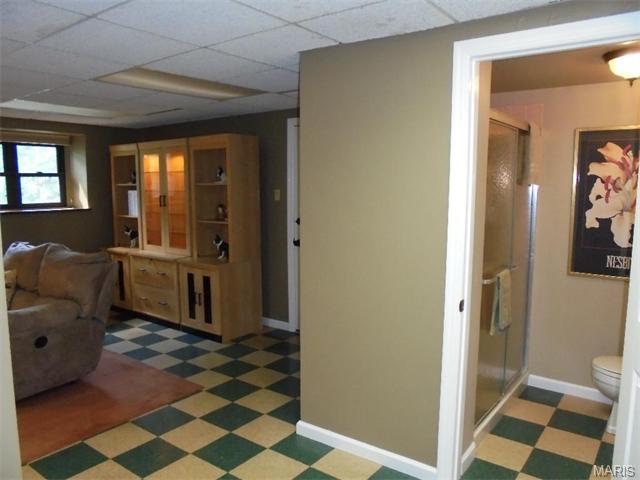 314 Glyn Cagny, Ballwin, MO 63021 photo 17