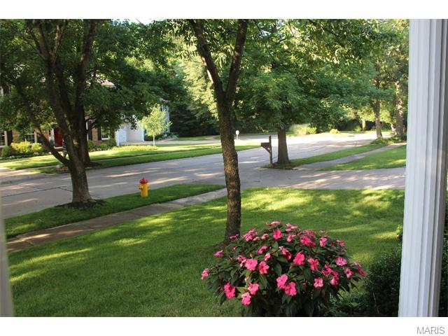 1205 Berquist Ct, Ballwin, MO 63011 photo 39