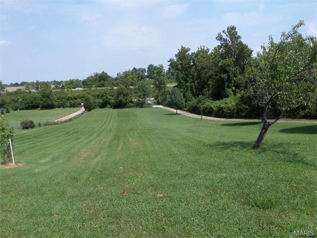 11684 Mark Twain, Bridgeton, MO 63044 photo 17