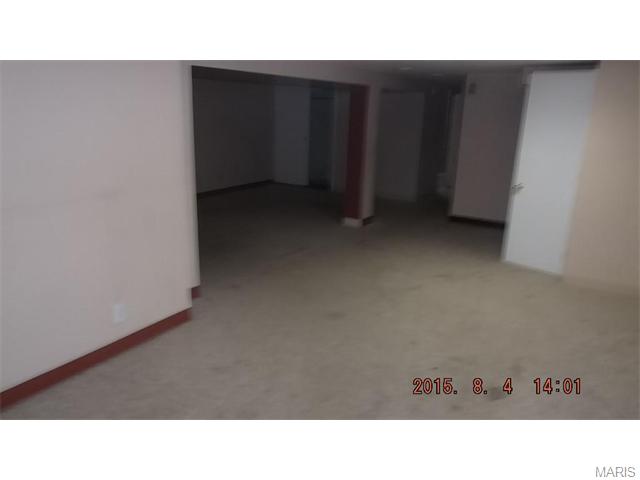 231 Geremma, Ballwin, MO 63011 photo 10