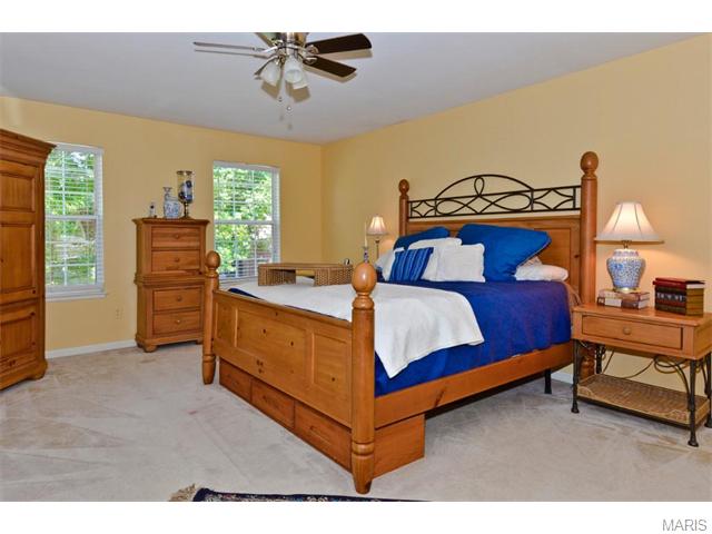 767 Arbor Haven Dr, Ballwin, MO 63021 photo 25
