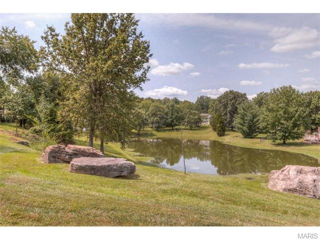 521 Stoddards Ml, Ballwin, MO 63011 photo 28