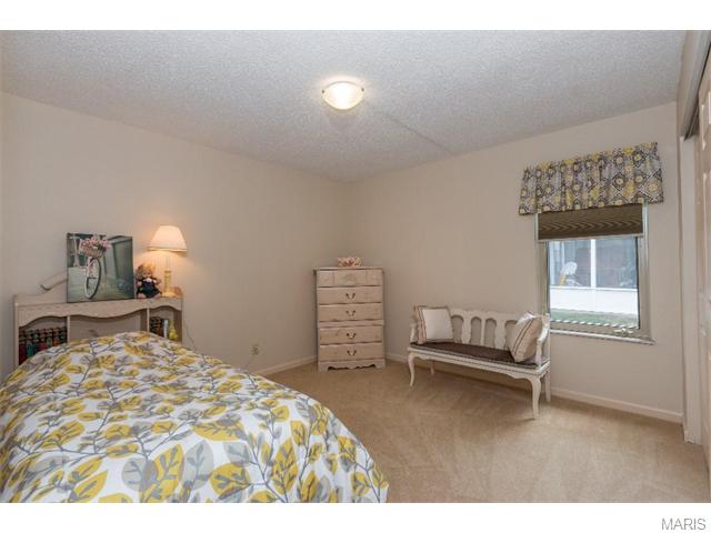 521 Stoddards Ml, Ballwin, MO 63011 photo 9