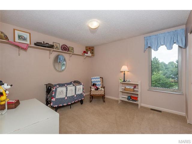 521 Stoddards Ml, Ballwin, MO 63011 photo 10