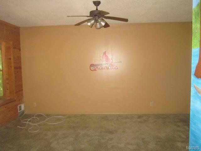 17325 Thunder Spring Rd, Eureka, MO 63025 photo 10