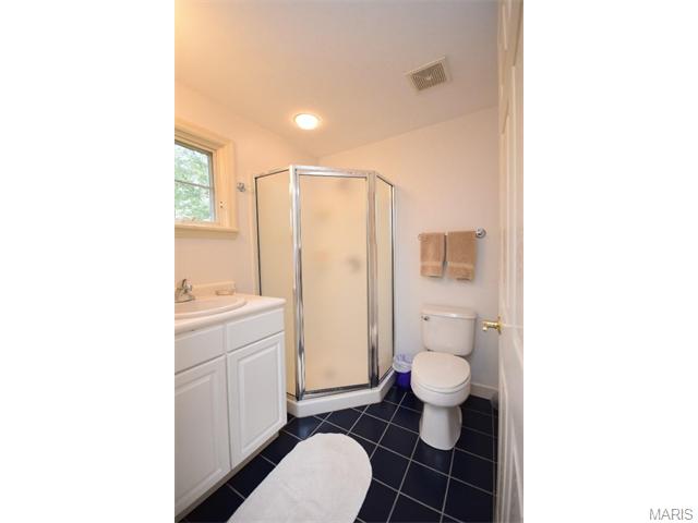 7726 Mohawk, Saint Louis, MO 63105 photo 41