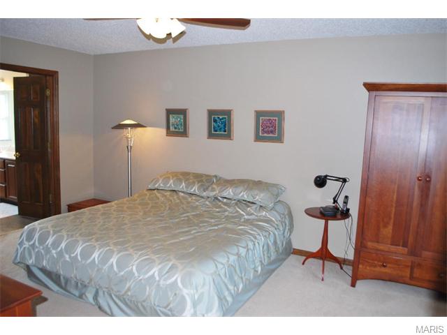 2590 Dunmore Cir, O'fallon, MO 63368 photo 17