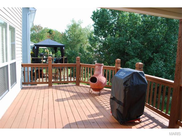 2590 Dunmore Cir, O'fallon, MO 63368 photo 32