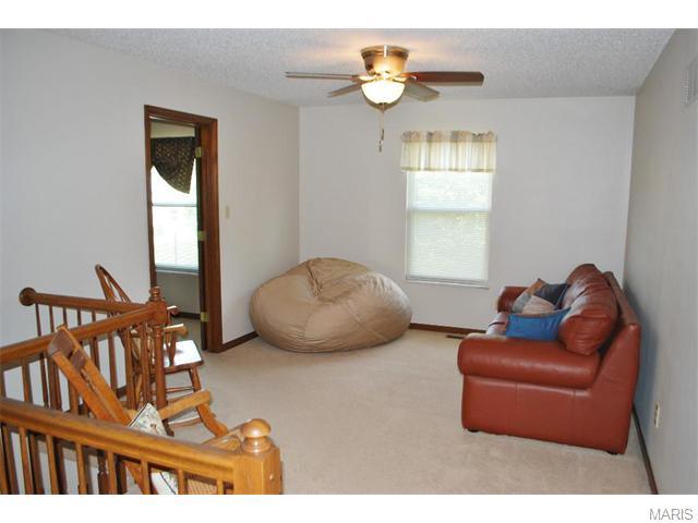 2590 Dunmore Cir, O'fallon, MO 63368 photo 24