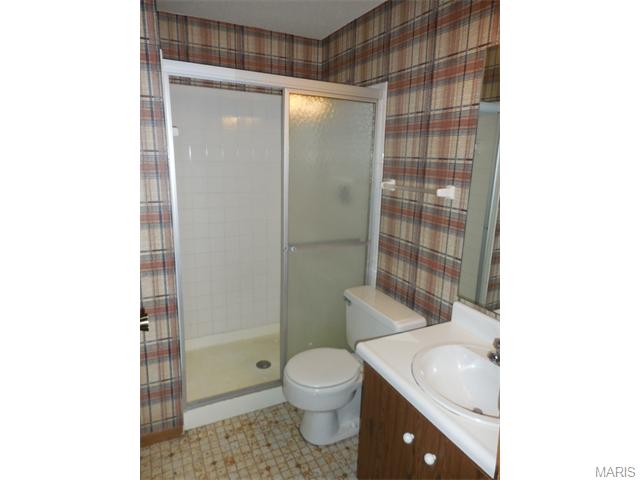 636 Walnut Ridge Dr, Ballwin, MO 63021 photo 23