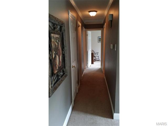 219 Hutchinson, Ellisville, MO 63011 photo 11