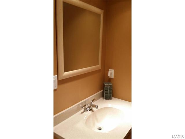 219 Hutchinson, Ellisville, MO 63011 photo 22