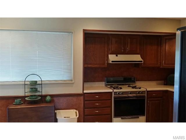219 Hutchinson, Ellisville, MO 63011 photo 7