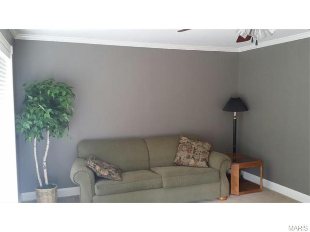219 Hutchinson, Ellisville, MO 63011 photo 9