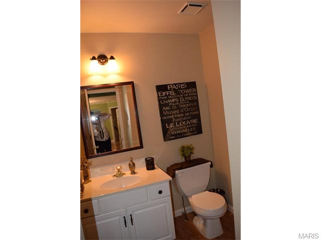 16037 Acorn Valley Ct, Ballwin, MO 63021 photo 35