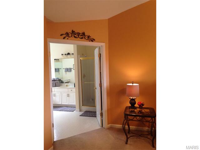 16037 Acorn Valley Ct, Ballwin, MO 63021 photo 27