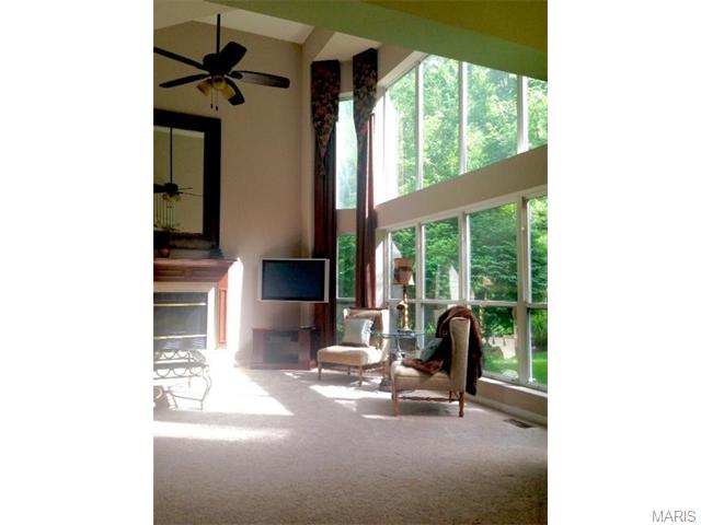 16037 Acorn Valley Ct, Ballwin, MO 63021 photo 6