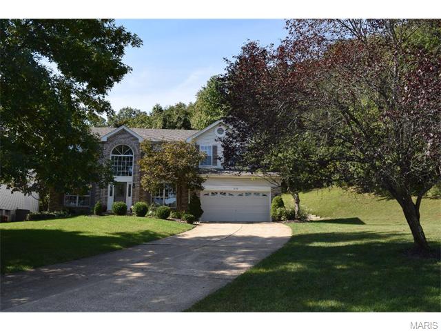 16037 Acorn Valley Ct, Ballwin, MO 63021 photo 59