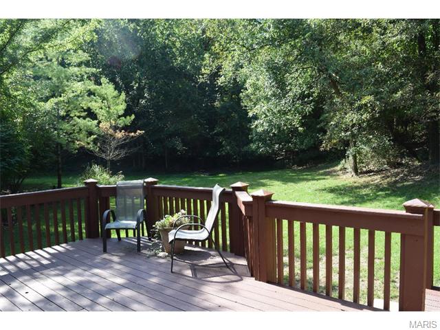 16037 Acorn Valley Ct, Ballwin, MO 63021 photo 37
