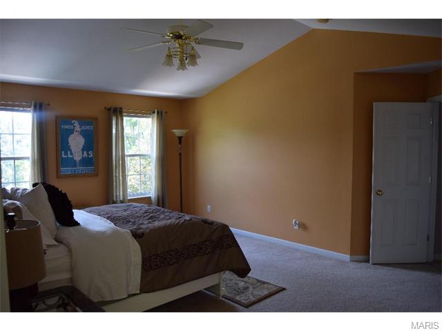 16037 Acorn Valley Ct, Ballwin, MO 63021 photo 47