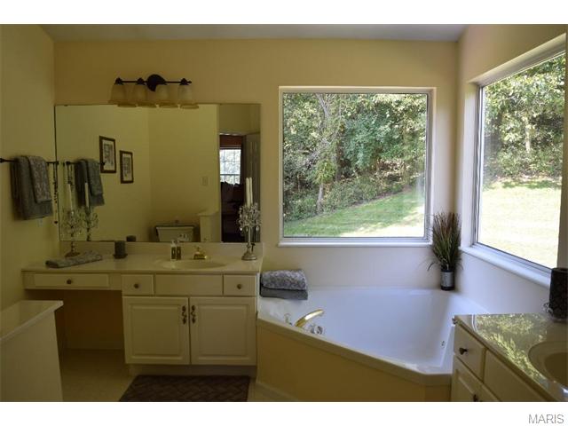 16037 Acorn Valley Ct, Ballwin, MO 63021 photo 44