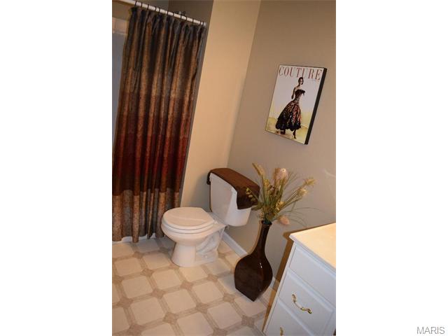16037 Acorn Valley Ct, Ballwin, MO 63021 photo 50