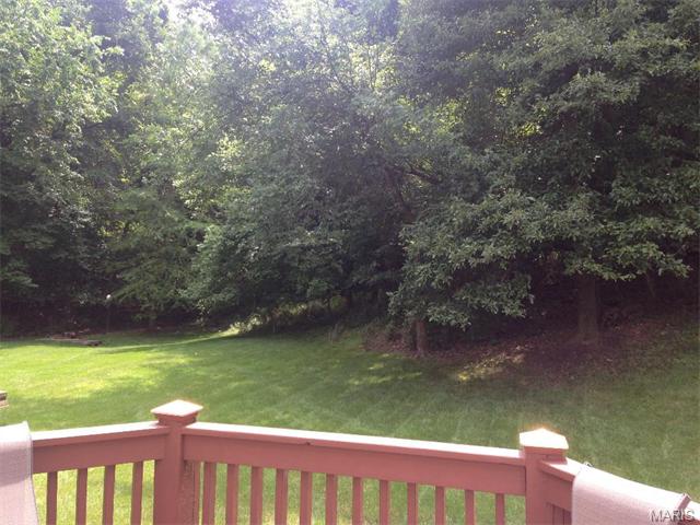 16037 Acorn Valley Ct, Ballwin, MO 63021 photo 15