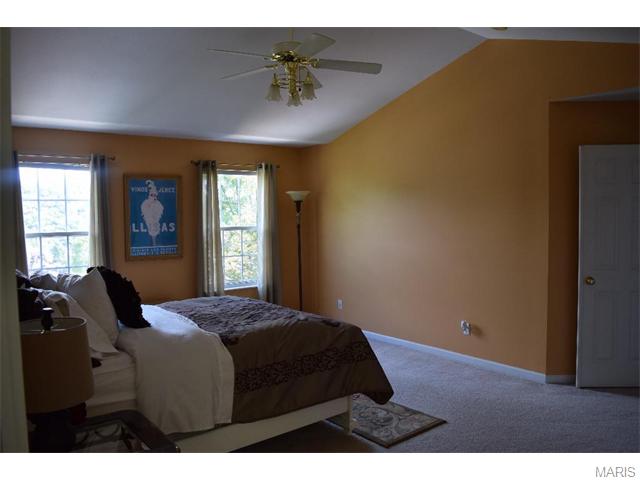 16037 Acorn Valley Ct, Ballwin, MO 63021 photo 46