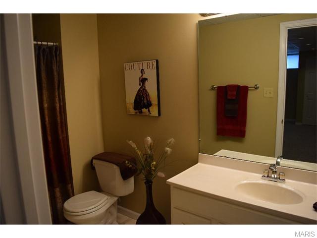 16037 Acorn Valley Ct, Ballwin, MO 63021 photo 49