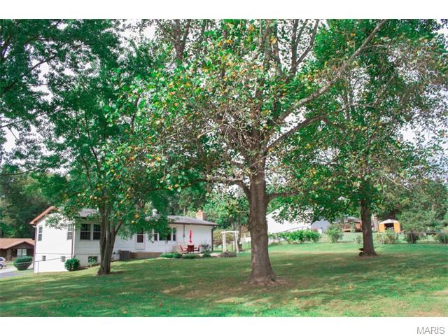 85 Willow Dr, Eureka, MO 63025 photo 23