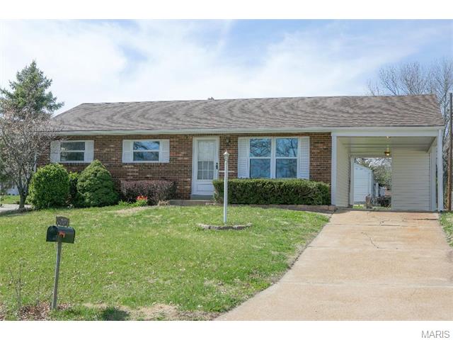 11037 Patsy Dr, Saint Louis, MO 63123 photo 1