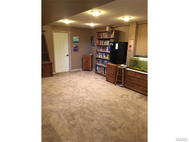 139 Shaw Dr, Eureka, MO 63025 photo 24