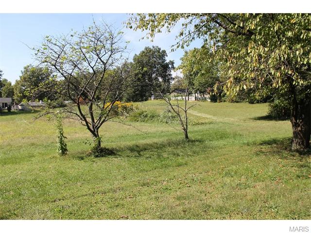 3145 Smiley, Bridgeton, MO 63044 photo 4