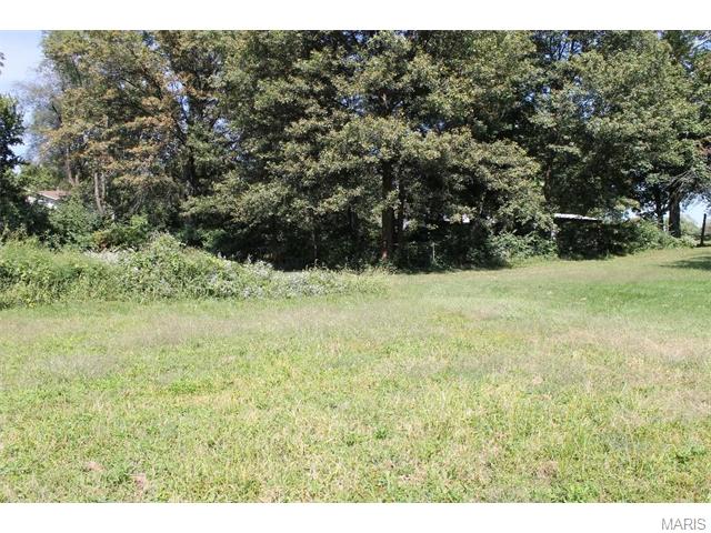 3145 Smiley, Bridgeton, MO 63044 photo 11