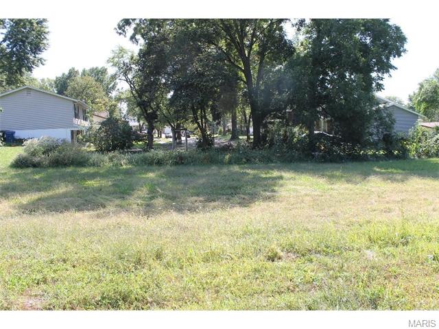 3145 Smiley, Bridgeton, MO 63044 photo 5