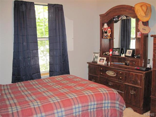 41 Plackemeier Dr, O'fallon, MO 63366 photo 13