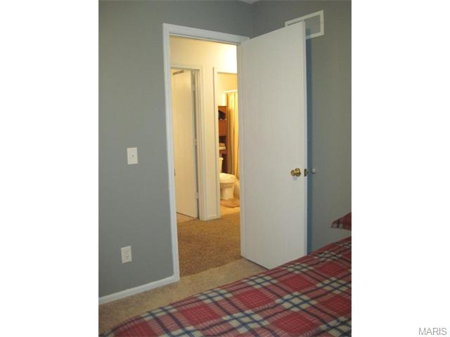 41 Plackemeier Dr, O'fallon, MO 63366 photo 16