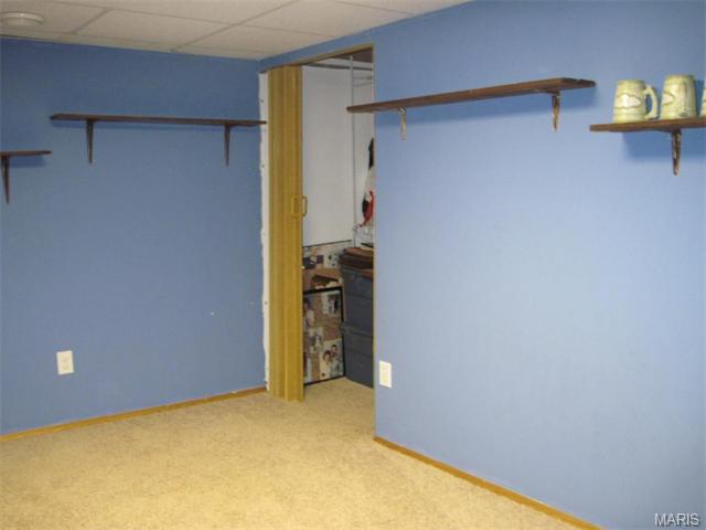 41 Plackemeier Dr, O'fallon, MO 63366 photo 22
